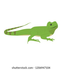 
Old world type lizard chameleon icon design 


