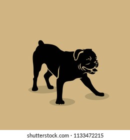 Olde English Bulldogge - vector illustration