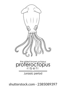 The oldest known octopus Proteroctopus ribeti from Jurassic period. Black and white line art, perfect for coloring and educational purposes.