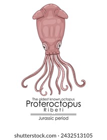 The oldest known octopus Proteroctopus ribeti from Jurassic period. 