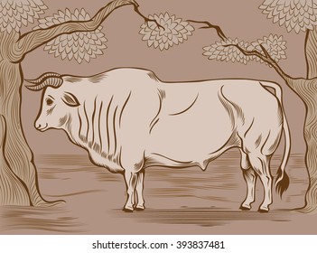 Old-fashioned bull in sepia