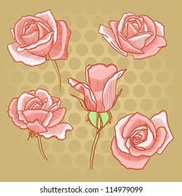 Old-fashioned floral background with engraving roses, hand drawn retro flowers. Flower set: highly detailed hand drawn roses. Vintage ornate. Old paper texture. Old-styled rose. Isolated retro roses.