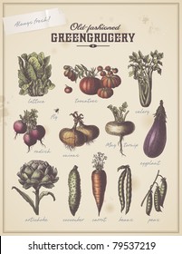 old  fashioned greengrocery    vintage collection different vegetables (set 1)