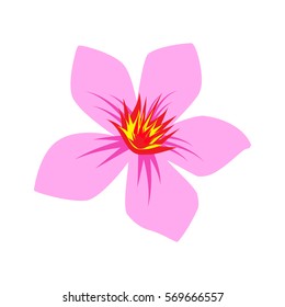 oleander flower illustration