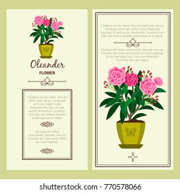 Oleander flower in pot vector advertising banners for shop design