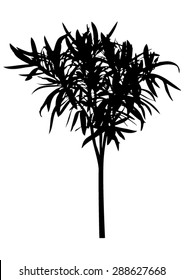 Oleander flower - rose laurel on trunk - black silhouette - isolated on white background - vector