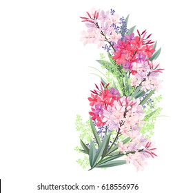 Oleander (Nerium oleander). Hand drawn vector illustration of oleander branches with red and pink flowers on white background