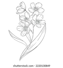 Oleander-Umrisslinie, Vektorgrafik, botanische Illustration