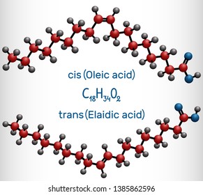 Oleic acid (cis ) and elaidic acid (trans), omega-9 fatty acids are geometric isomers. Molecule model. Vector illustration