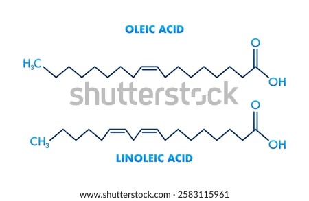 Oleic Acid and Linoleic Acid Structural Chemical Formulas Showing Differences