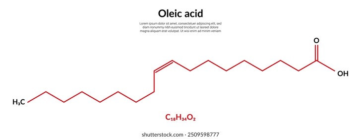 Ölsäure, Formel mit molekularer Struktur, geeignet für den Unterricht oder für den Inhalt der Chemie. Vektorgrafik