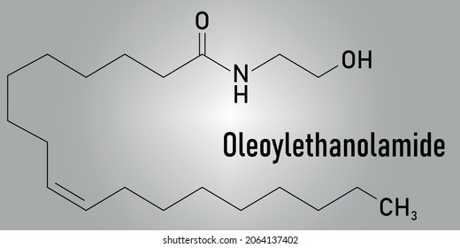 Oleoylethanolamide (OEA) Endogenous Peroxisome Proliferator-activated Receptor Alpha (PPAR-Î±) Agonist Molecule. Skeletal Formula.