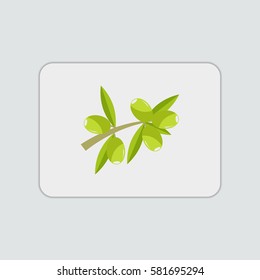 Oliv flat icon illustration isolated vector sign symbol