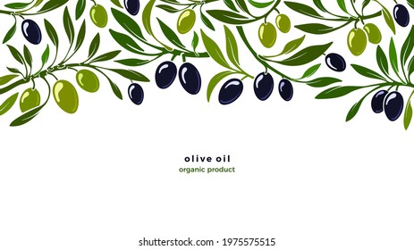 Oliva plant, flat background. Vector farm plantation, black and green berry, fresh branch. Organic illustration, greek border. Mediterranean vegan food