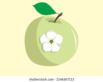 Olive apple with blossoms on it. Ripe fruit with leaf and white flower isolated on yellow background.