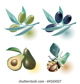 olive, avocado, jojoba, vector