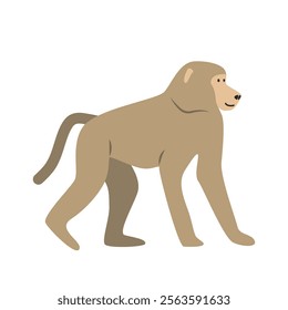 Olive baboon cartoon clipart. Yellow baboon vector illustration in flat style. Old World monkey. Hand-drawn wild animal concept