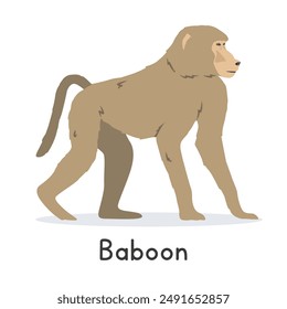 Olive baboon vector illustration, cartoon clipart character, animal in flat style. Wild animals, wild creatures, wildlife concept. Yellow baboon vector design isolated on white background