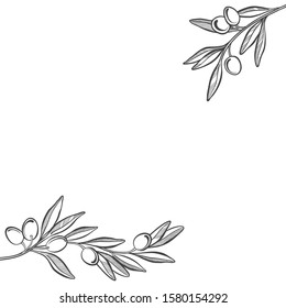 Olive background. Illustration with place for text,  can be used  creating card, menu or invitation card.