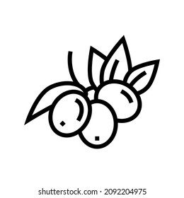 olive berries line icon vector. olive berries sign. isolated contour symbol black illustration