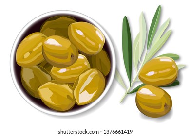Olive berries on a white background vector illustration