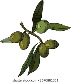 Olive berry branch composition colored. Vector graphic line ink illustration. Silhouette sign for logo, print, comics, fashion, pop art, boards, design, stickers, decoration, posters


