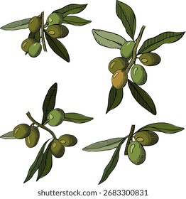 Olive berry branch isolated set. Vector graphic line ink colored illustration. For poster, flyer, banner, invitation, social media, party or sale backdrop, ad, sale promotion, print for t-shirt
