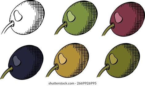 Azeitona única azeitona colorida isolada. Ilustração de tinta de linha de gráfico vetorial. Sinal botânico da arte grega. Produto saudável. Cosméticos naturais orgânicos. Item agrícola no fundo branco
