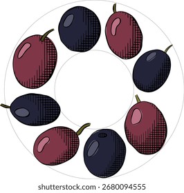 Olive black berry circle square template. Vector graphic line ink colored illustration. Fruitless rosemary, bay leaf circle frame for card, food cosmetic label Isolated line art from background

