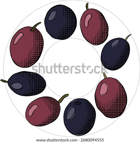 Olive black berry circle square template. Vector graphic line ink colored illustration. Fruitless rosemary, bay leaf circle frame for card, food cosmetic label Isolated line art from background

