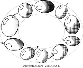 Olive schwarze Beere Oval Vorlage. Vektorgrafik Linie Tinte Schwarz-Weiß-Illustration. Fruchtloser Rosmarin, Lorbeerblattkreisrahmen für Karte, Kosmetiketikett Isolierte Linienkunst auf Hintergrund
