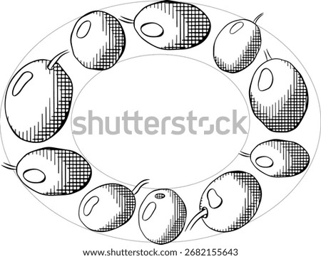 Olive black berry Oval template. Vector graphic line ink Black and white illustration. Fruitless rosemary, bay leaf circle frame for card, food cosmetic label Isolated line art from background
