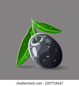 Olive black with leaves and drops of water on grey. Vector illustration. No gradients
