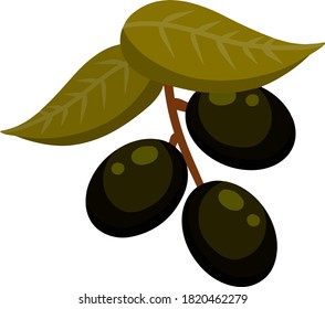 Olivo. Verdura negra en rama con hojas. Elemento de aceite y una dieta sana. Ilustración plana de dibujos animados aislada en blanco