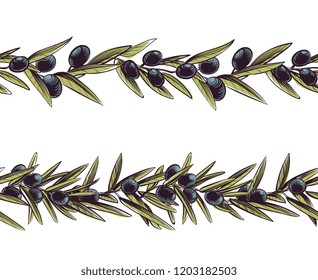 Olive border. Greece branches seamless frame olive branch vector. Illustration of border greece olive branch of tree