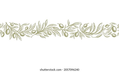 Borde de oliva, patrón rústico sin costuras. Banda vectorial vintage. Rama de textura dibujada a mano, fruta verde, hojas gráficas sobre fondo blanco. Aceite de granja orgánico