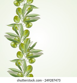 olive border watercolor - vector illustration