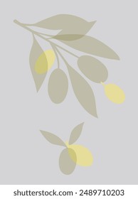 oliva botánica grecia fresca ingrediente de fruta
