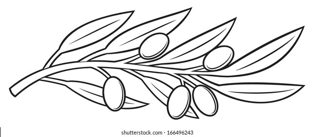 Branche D Olivier Stock Illustrations Images Vectors Shutterstock