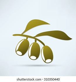 Olive branch