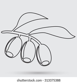 Olive branch