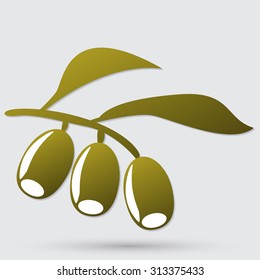 Olive branch