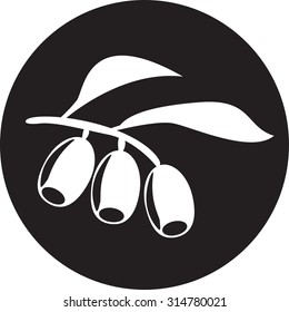 Olive branch