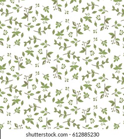  olive branch