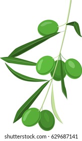 Olive branch