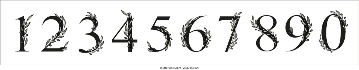 Olive branch alphabet number set for decor of card or wedding invite. Vector hand drawn illustration for type design