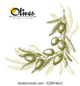 Olive branch angular frame, border background, olive color sketch vector isolated element hand drawn. Italian product.