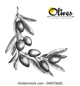 Olive branch angular frame, border background, olive sketch vector isolated element hand drawn. Italian product.