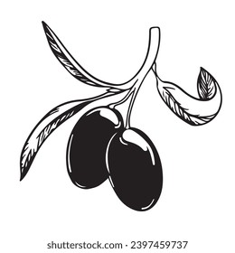 Olive branch with black berries and leaves. Italian Cuisine. A symbol of peace. Greek religious sign. Olive tree vector illustration.