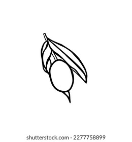Olive branch, black ink hand drawn simple elements Vector botanical illustration. Black ink engrave